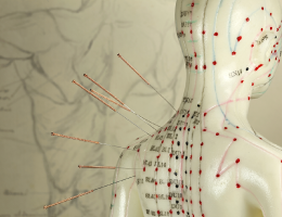 エビデンスに基づく分析
